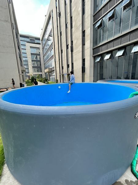 Басейн IPOOLGO POOL, розмір 3.0 x 0.5 м RP-02 фото