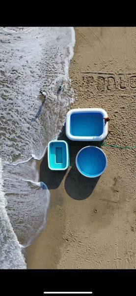 Бассейн IPOOLGO POOL, размер 6.0 x 1.2 м RP-10 фото